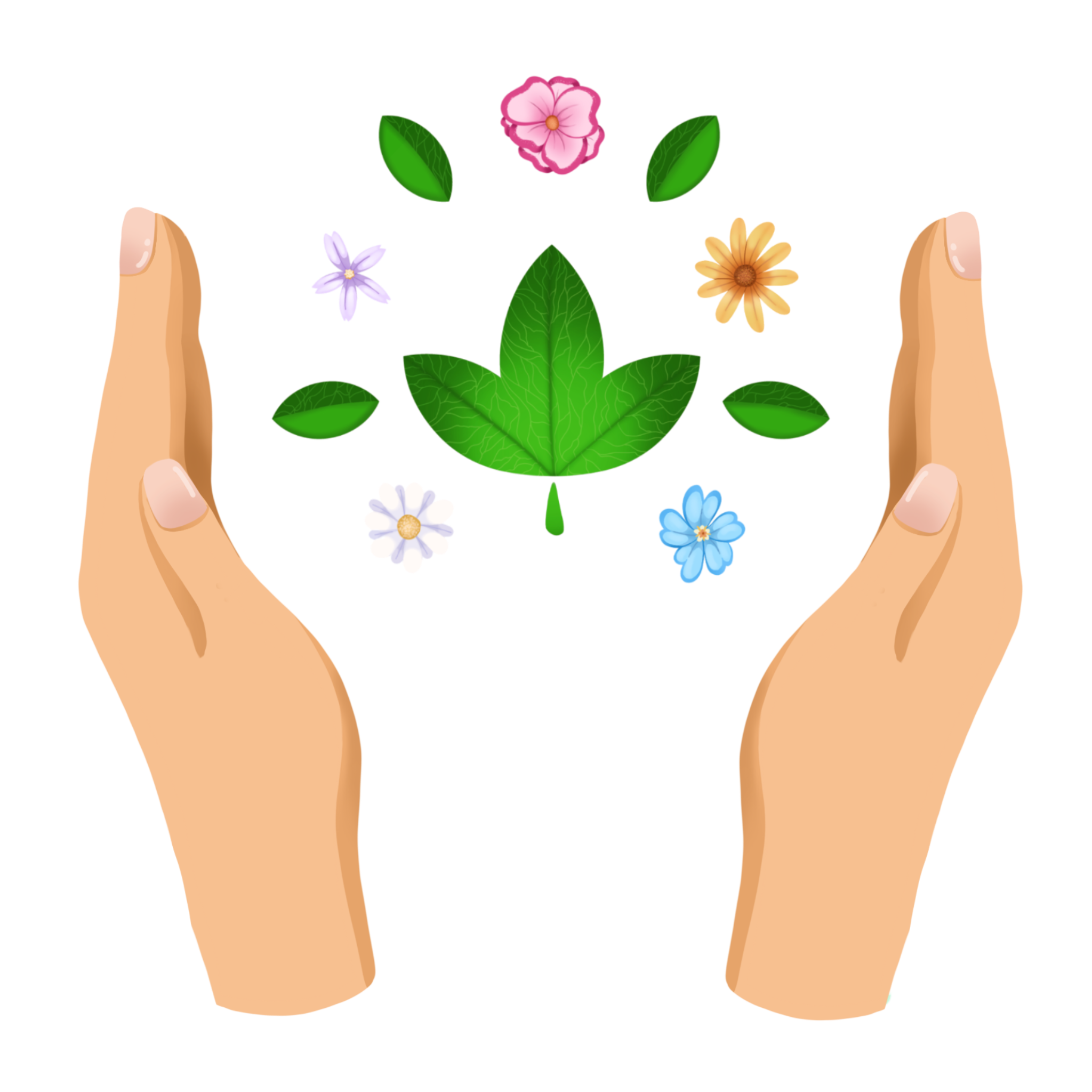 Illustration with hands holding space for assortment of leaves and flowers, symbolising Mama Dolce's passion for sustainability